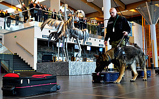 Psy służbowe na szkoleniu w Porcie Lotniczym Olsztyn-Mazury